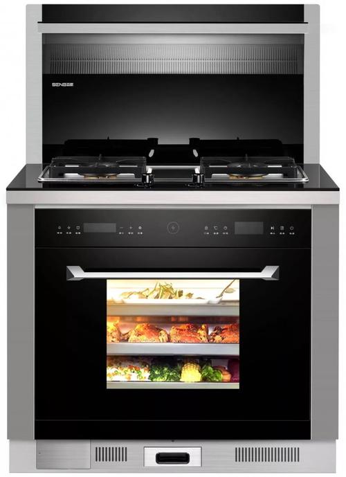 年終盤(pán)點(diǎn):這些熱銷(xiāo)款集成灶你知道幾個(gè)?