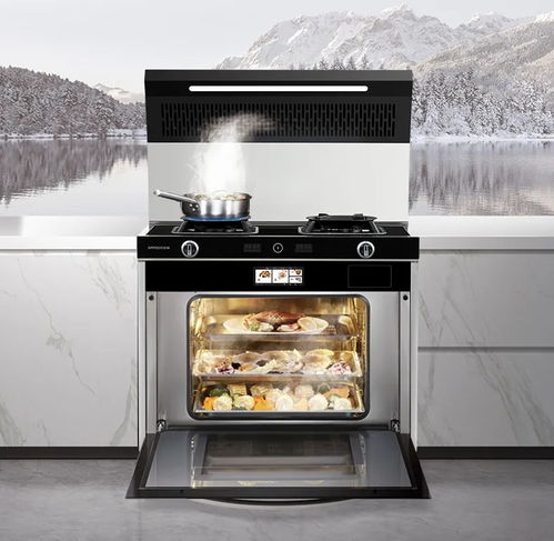 嵊州集成灶10大品牌哪個好 集成灶牌子到底要怎么選