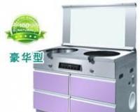 大量1下排氣集成環(huán)保灶[供應(yīng)]_世界工廠網(wǎng)中國產(chǎn)品信息庫